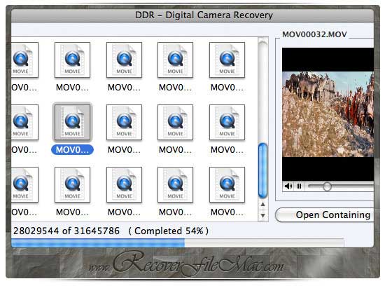 Recover File from Digital Camera software